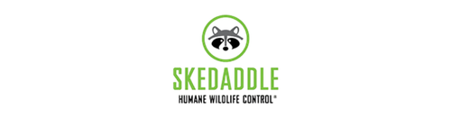 Skedaddle Human Wildlife Control
